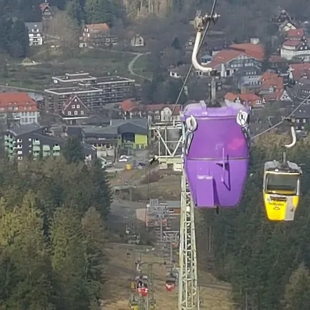 Singer Am Erlebnisbocksberg Daire Goslar