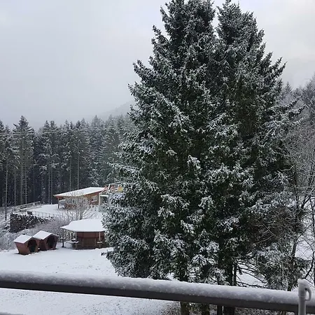 Daire Singer Am Erlebnisbocksberg Goslar