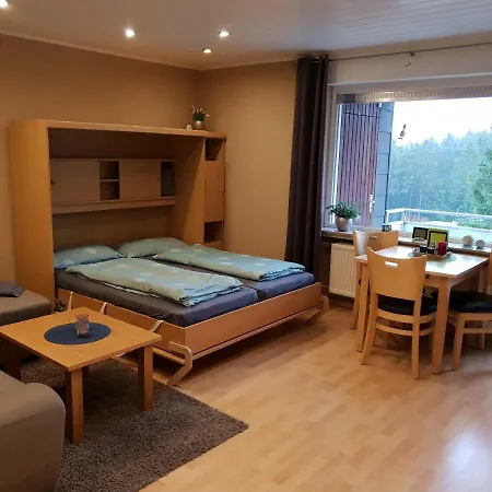 Singer Am Erlebnisbocksberg Апартаменты Гослар