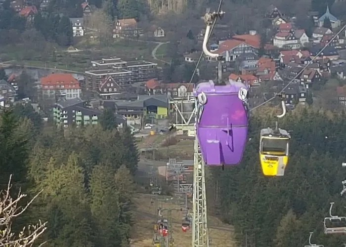 Singer Am Erlebnisbocksberg 公寓 戈斯拉尔