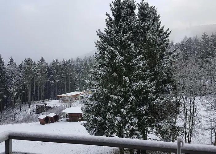 公寓 Singer Am Erlebnisbocksberg 戈斯拉尔